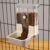 Tokayife Automatic Pet Feeder for Small Animals