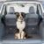Shysbv Heavy Duty Dog Safety Gate for Car Boot
