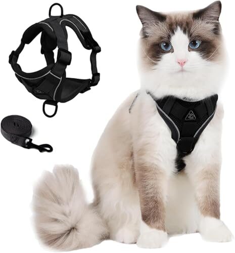Skmeditec Reflective Cat Harness And Lead Set L