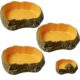 Reptile Water Bowl Set of 3 for Terrariums