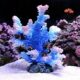 Besimple Polyresin Aquarium Coral Ornament