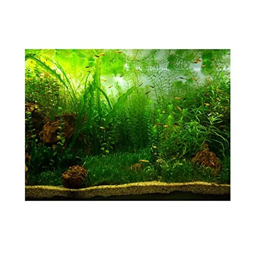 Self-Adhesive Aquarium Background Sticker