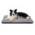 VoltaEcho Grey Dog Bed for Medium Dogs