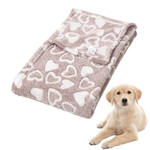 Gytfog Dog Blanket for Medium Dogs and Cats