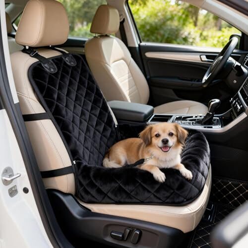 Dog Car Booster Seat for Small and Medium Dogs