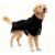 Waterproof Winter Dog Coat for Large Dogs