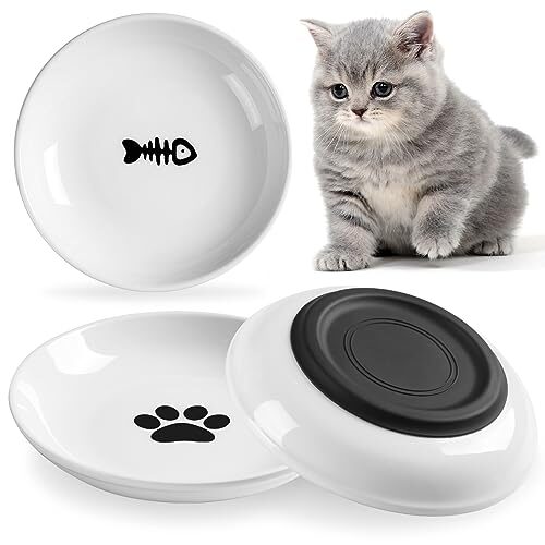 Wellbro Ceramic Cat Bowl for Kittens