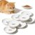 Hsigio Ceramic Cat Bowl Whisker Friendly