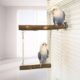 ZYYRSS Hanging Bird Swing Perch Toy