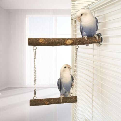 ZYYRSS Hanging Bird Swing Perch Toy