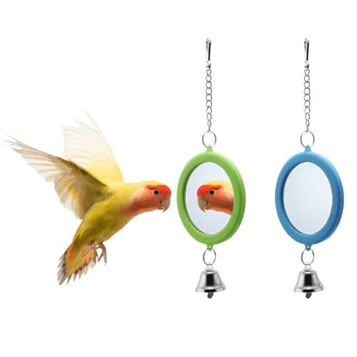 Wooden Mirror Bird Toy Set with Bell for Budgies