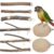 Zynaxir 8 Piece Wooden Parrot Perch Set