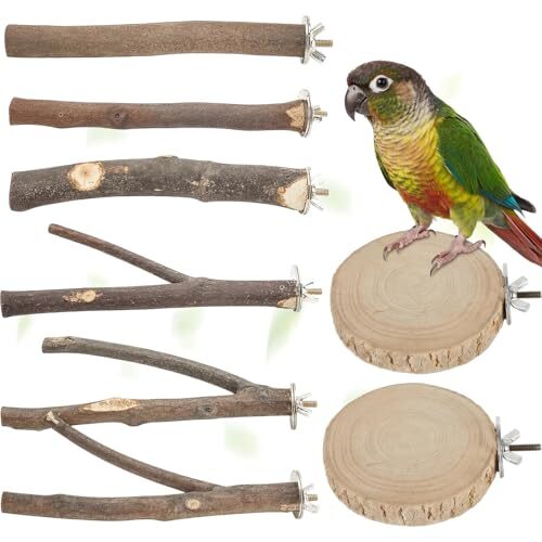 Zynaxir 8 Piece Wooden Parrot Perch Set